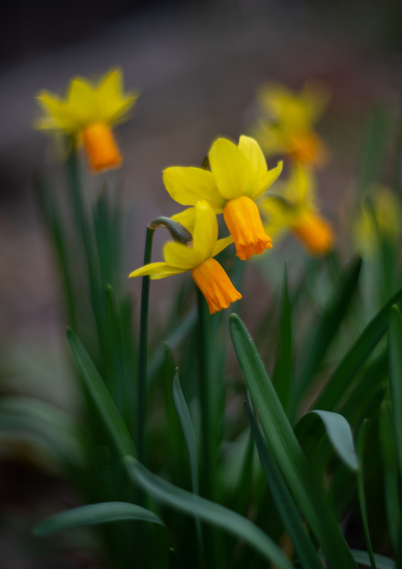 IMG-f05e63b4dc43f8a1b0bf438ad46fdee8-V