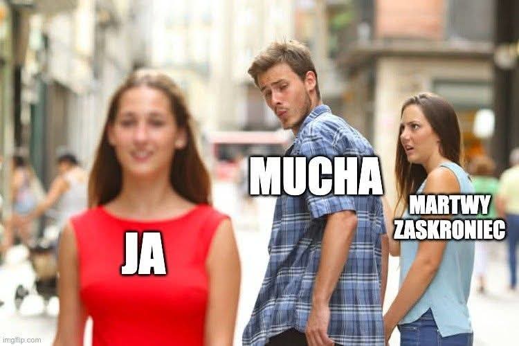 Obrazek