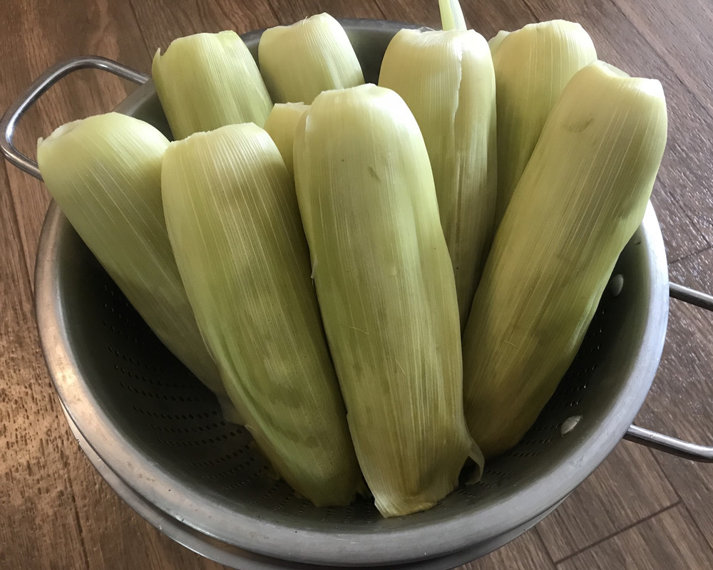 73AA6502-5569-41C4-80EF-16E400F4949A