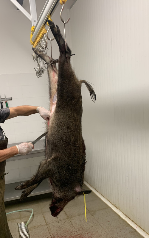 629BBB41-315D-4A81-9942-A0FB2AD7F353