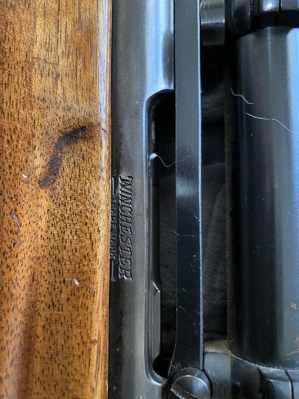 0945070C-D820-444D-9E8B-840F4838E4E7