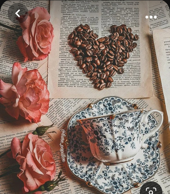 Screenshot_20230929_014132_Pinterest