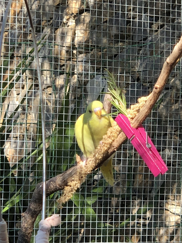 D29D7561-1CBF-43B9-A51F-630410EE295A