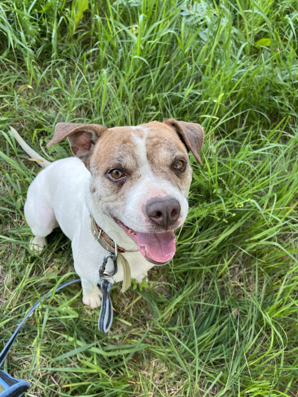 6E9AF534-7106-4082-8C4E-05B8EAE8626C