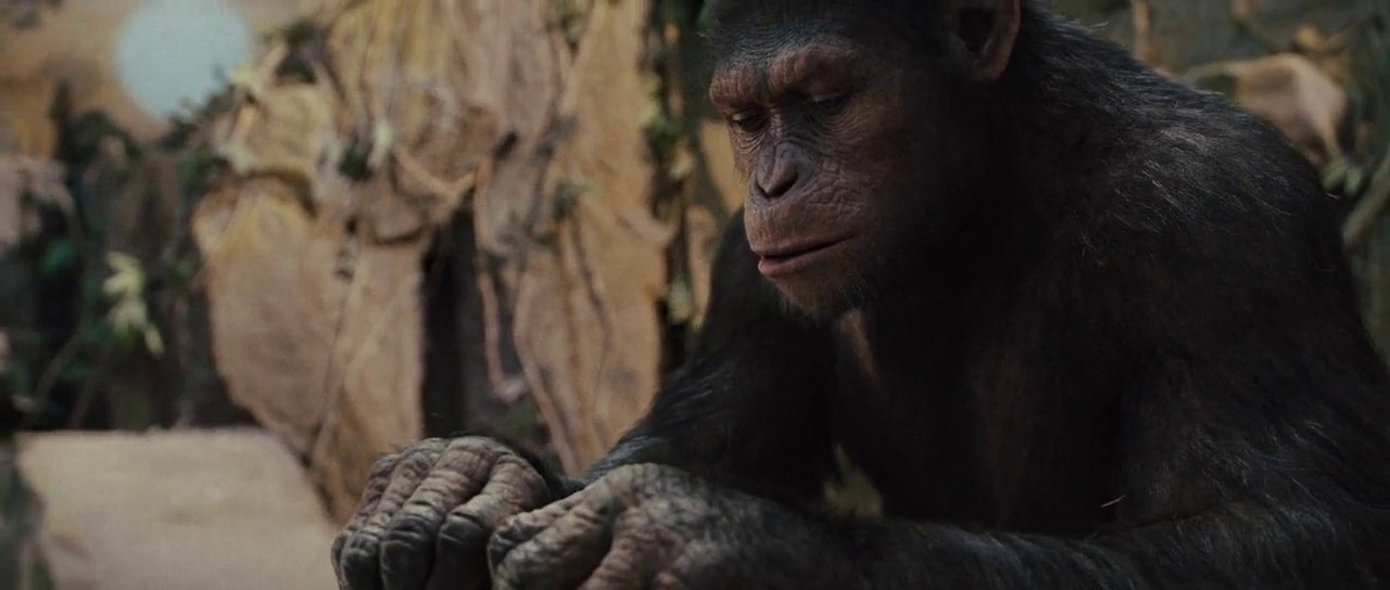 Rise of the Planet of the Apes (2011) Free Movie Download Rise of the Planet of the Apes (2011) Free Movie Download