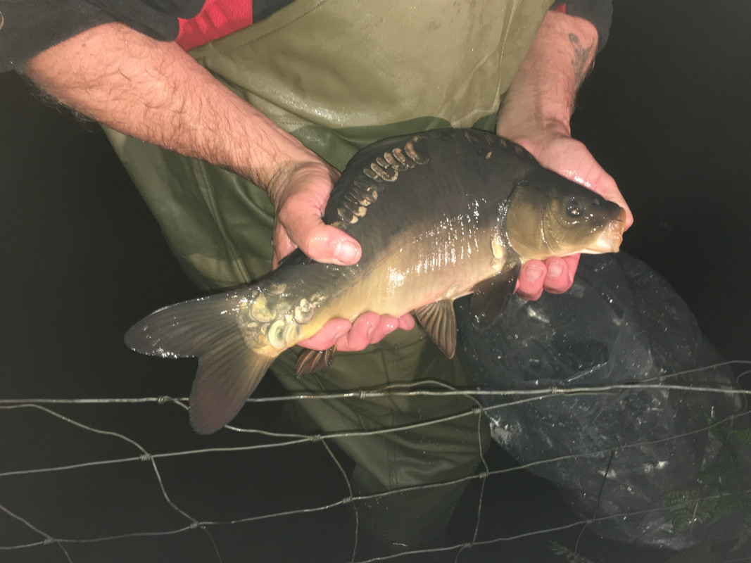 FA68FCE1-AC4C-4A7F-B026-D30C7201A517