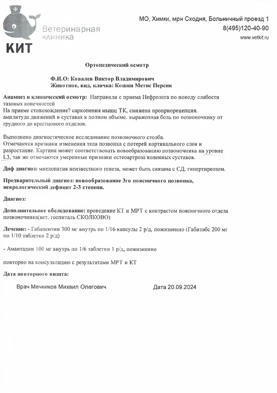 Осмотр ортопед КИТ