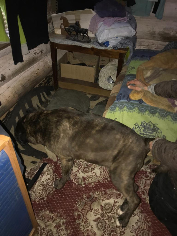 516524C4-8634-4224-8F0C-6EADB69D5B6C