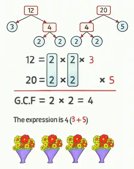 Solution for Nada's flowers problem