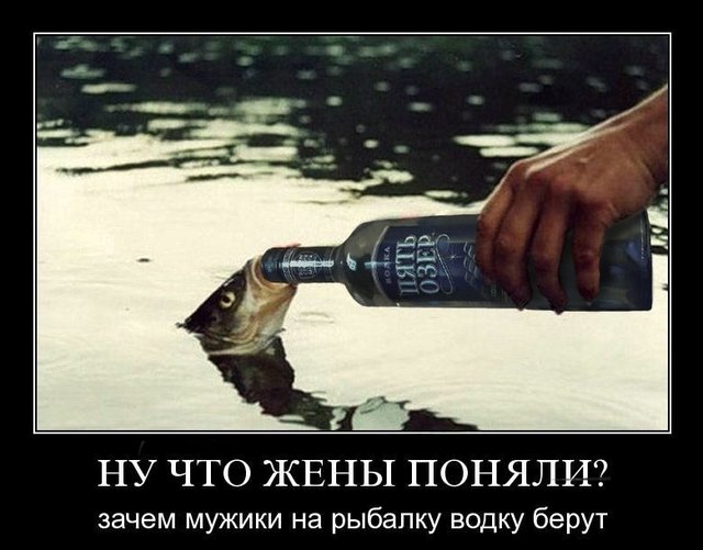 Картинка лучше бы ты бухал