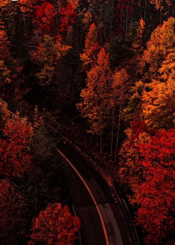 Screenshot_20230124_000823_Chrome