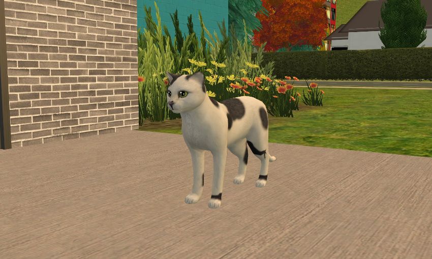Sims2-EP9-2020-12-22-23-06-28-67