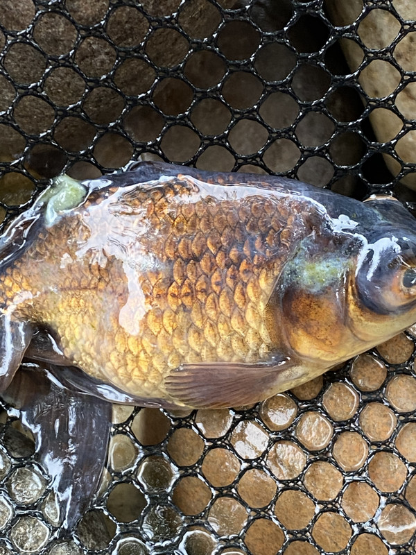 3BB666C0-C8FB-4C99-AA8F-8C2B1FE50BC0