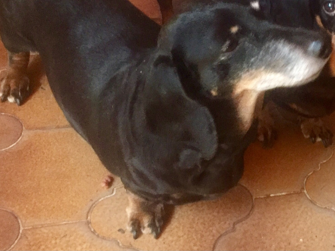 [Image: IMG-20240517-WA0001.jpg]