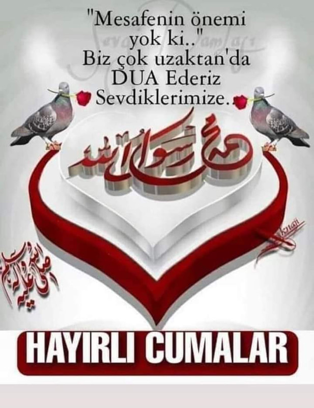 resim