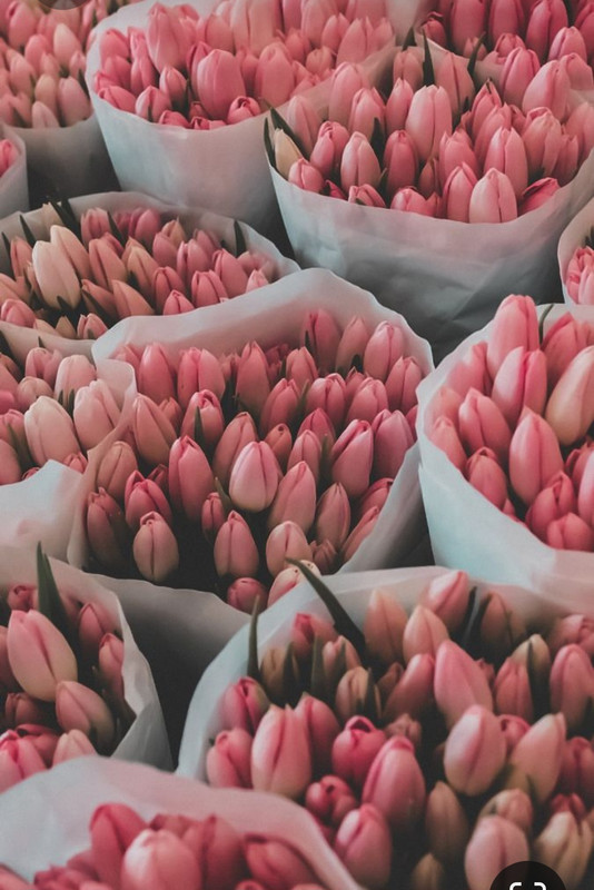 Screenshot_20230721_221819_Pinterest