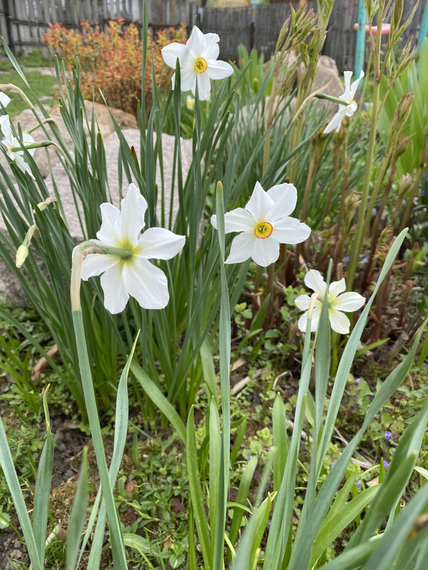 B76294C0-DFC7-44A5-A50B-41F33B0F189D