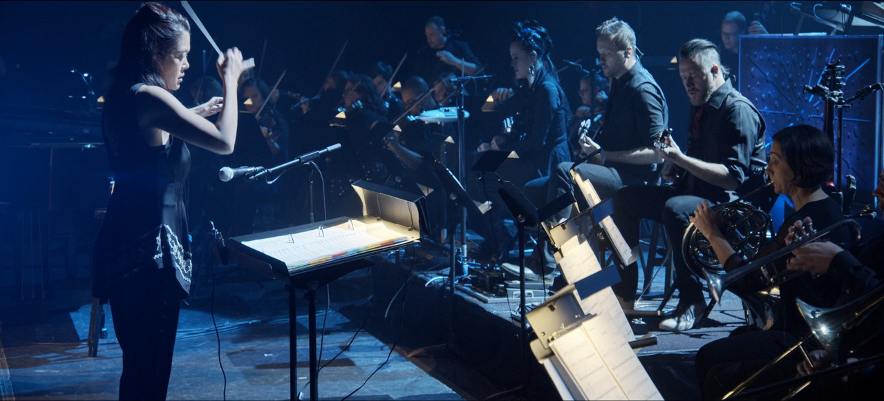 Evanescence Synthesis Live (2018) (1080p Blu Ray x265 SAMPA) mkv snapshot 00 05 54 896
