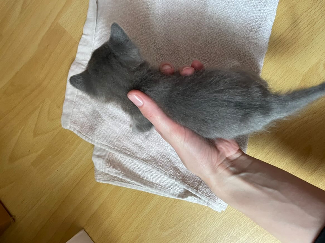 6B19C979-BCB2-4F15-A9DF-2B8110A40C46