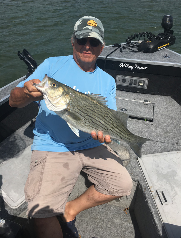 3349F1B2-C474-4BB4-B8C3-819C65D96F81