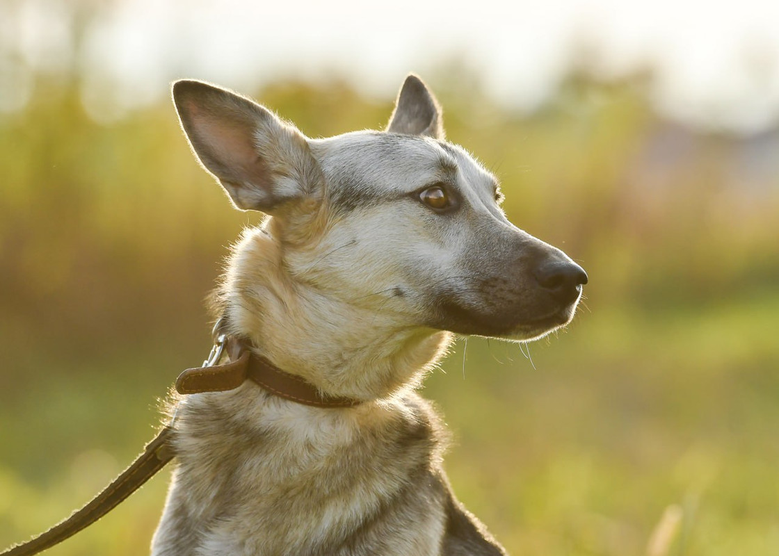photo_2023-04-30_22-33-10