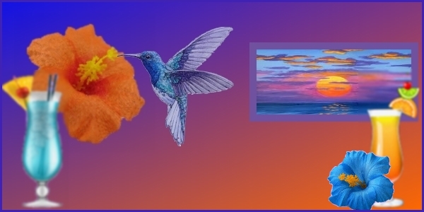 https://i.postimg.cc/Df15Y7B7/20200420-concours-bleu-et-orange-hibiscus-et-colibri.jpg