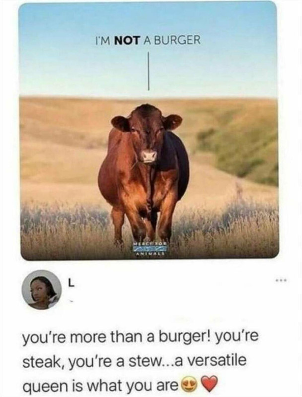 87544434.jpg