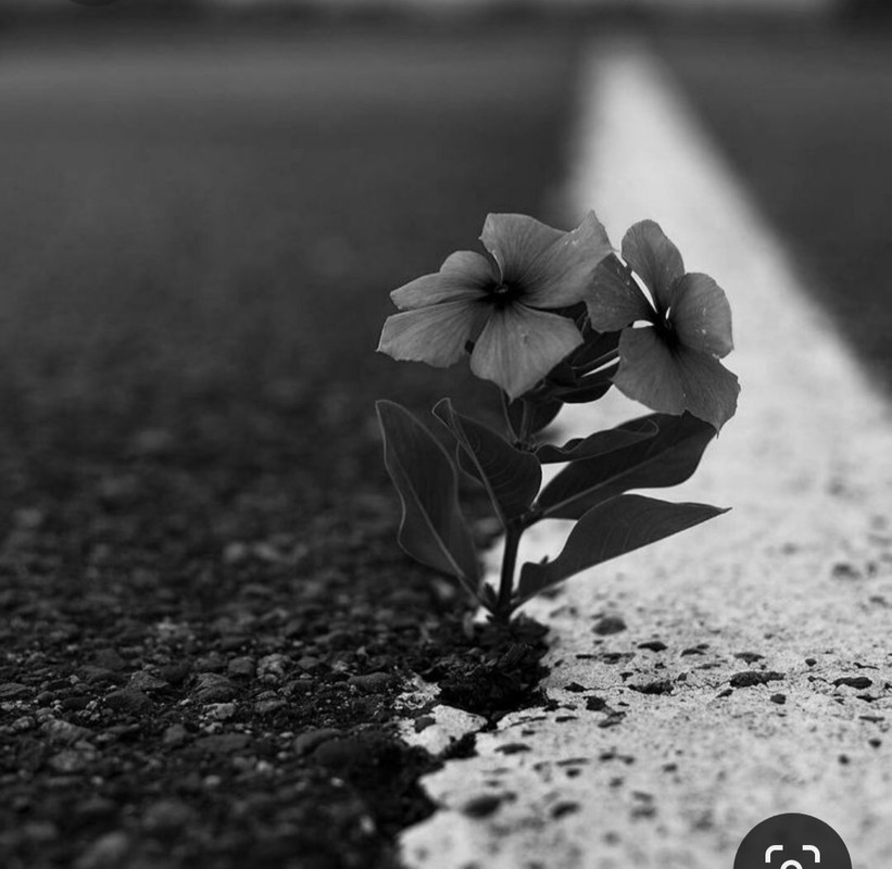 Screenshot_20230329_231329_Pinterest