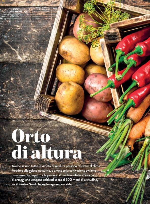 melaverde Dic 2021 (1)