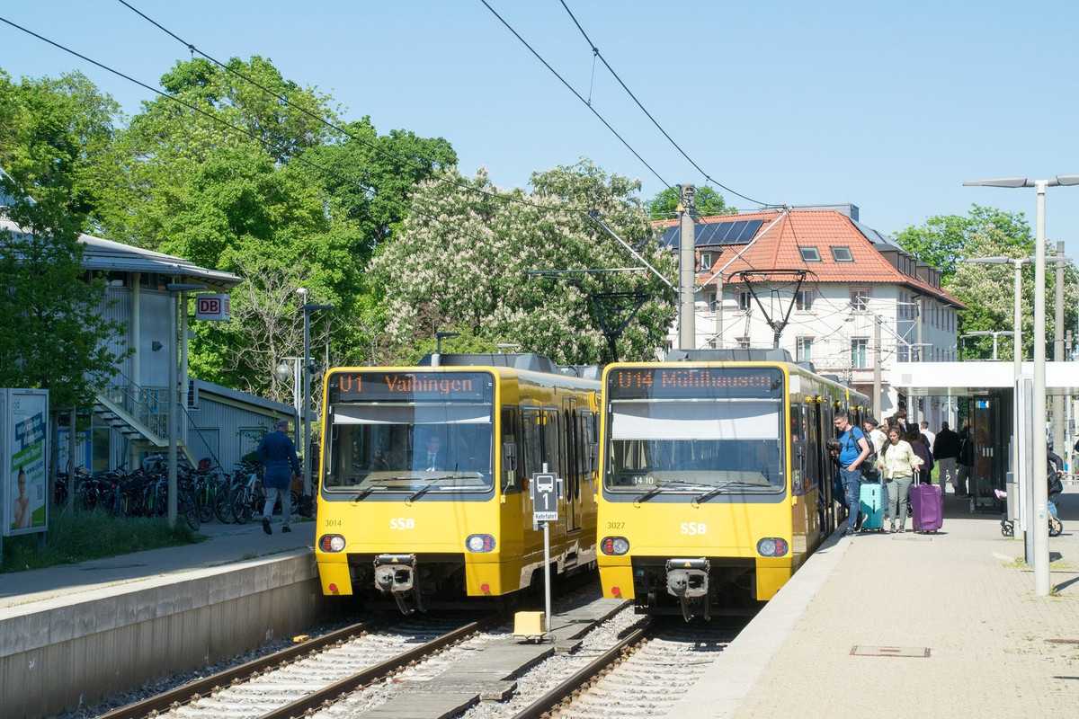 [Bild: 20250510-DSC-0735.jpg]