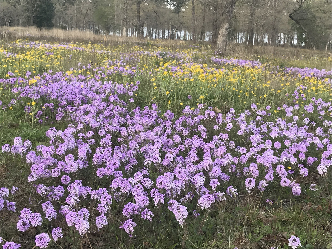 343B8AD6-8A63-44AB-B9A0-85C17B881A08