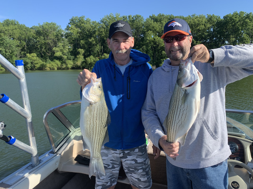 AB4E2E9A-CBD9-441C-B60C-32DE3AD57521