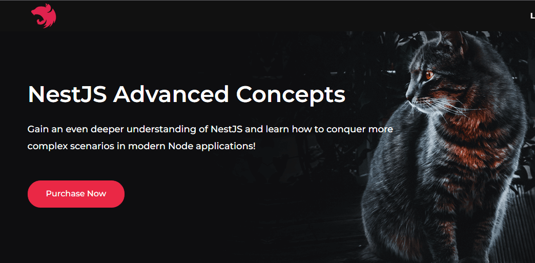 Learn NestJs - NestJS Advanced Concepts