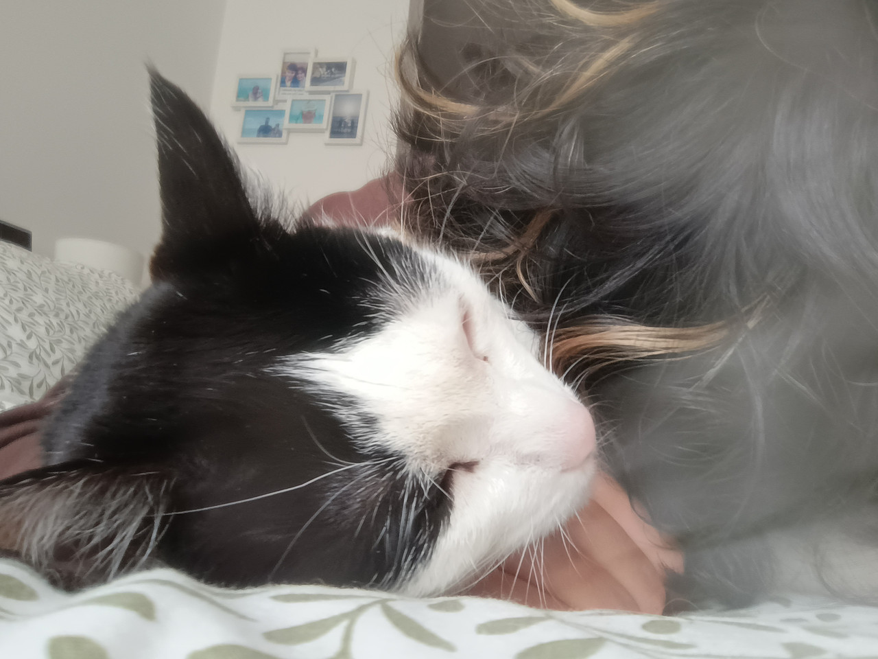 IMG 20251127 140804674