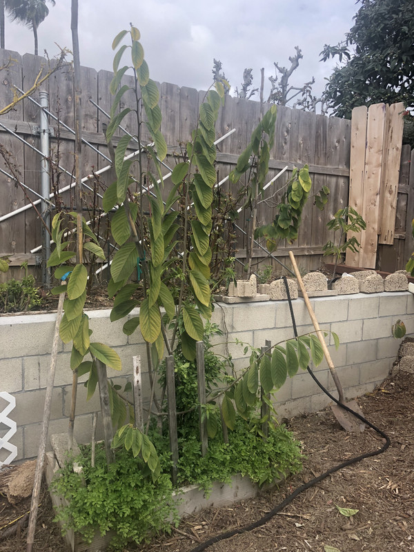 2AE07D4E-244D-402C-99E6-911D627203BA