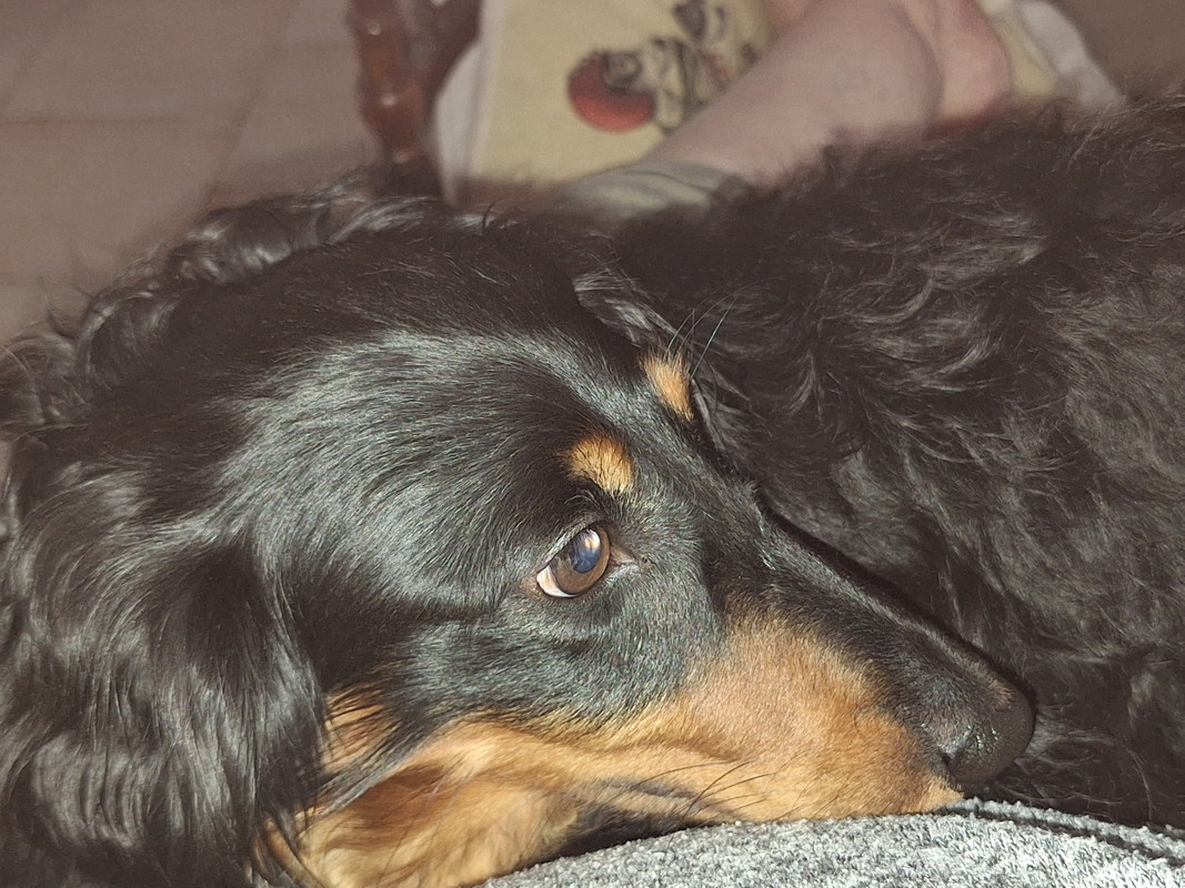 [Image: 20240614-132736.jpg]