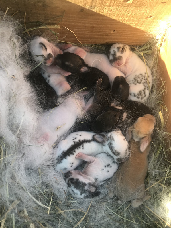 9553BE3D-23FE-44A8-B33D-9AEB519884D0