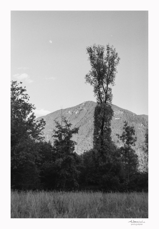 Kodak Retina 1b_11giu2022_01 (886x1280)