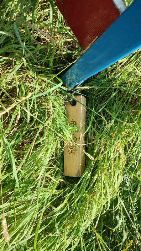 IMG-20240817-163520643-HDR.jpg
