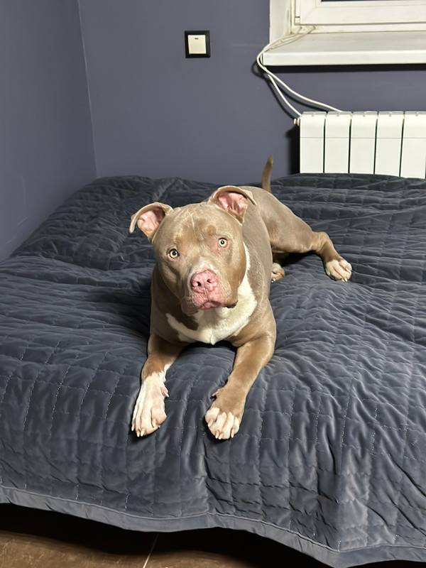 6955DE86-0DF1-448E-83D4-7C902E6D9F13