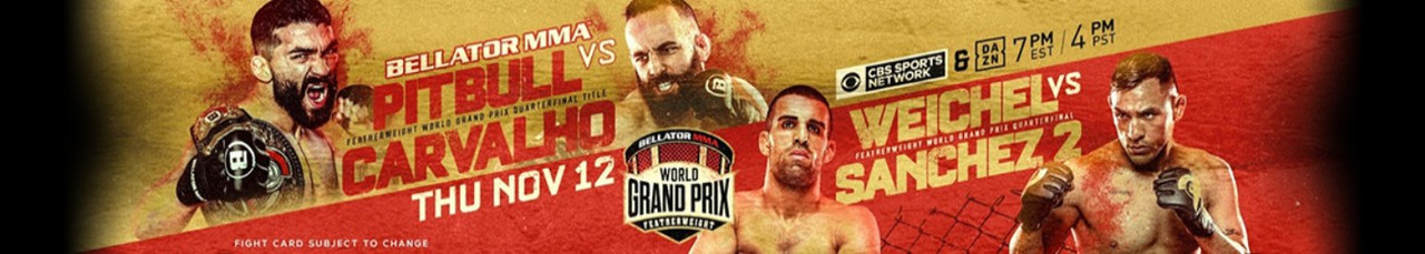 Bellator 252 Full Event 1080i HDTV -WH