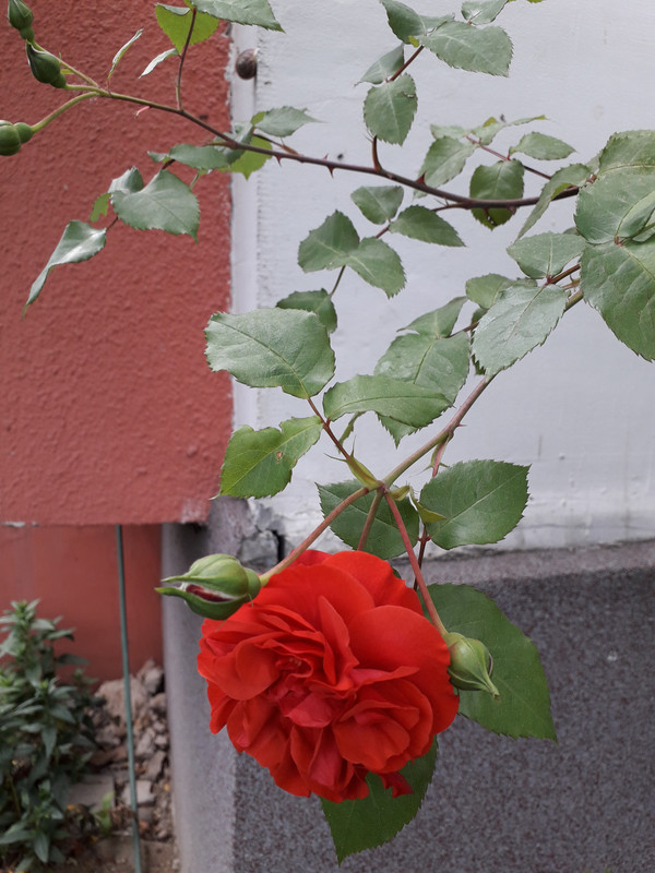 20190530_155037