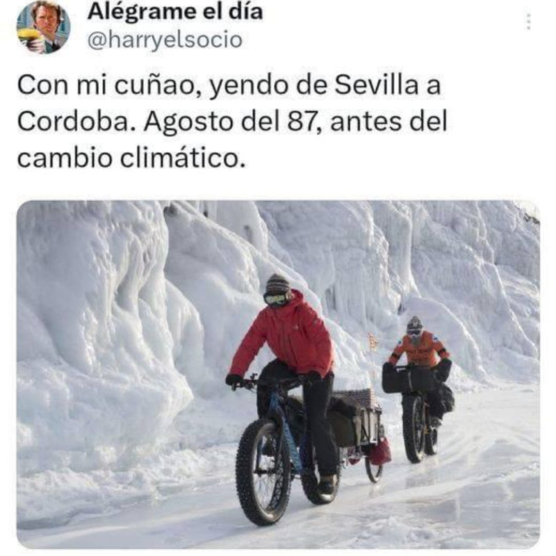 C7-FA1-D76-D14-D-4867-86-D7-3-F4-E181-F4-CF0.jpg