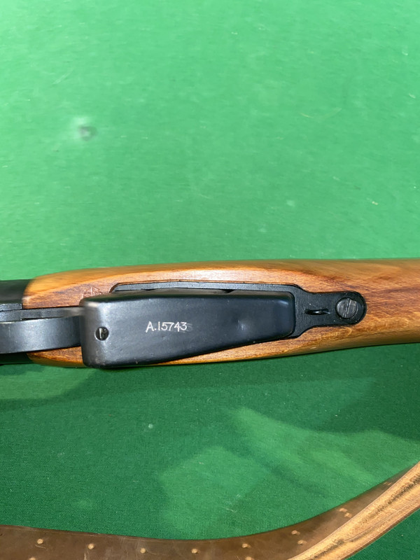 5107E57E-563F-44D5-8D3F-E701ED9743B3