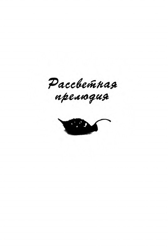 Mitajev-Oleg-Po-prozhilkam-listvennoj-ruki-page-0013