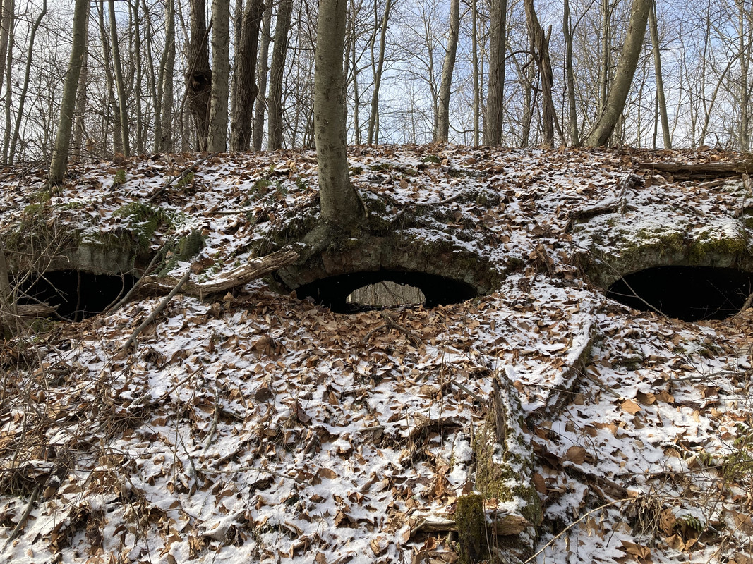 2024-01-15 Coke Oven Road Fairfied Township (coke ovens) 5