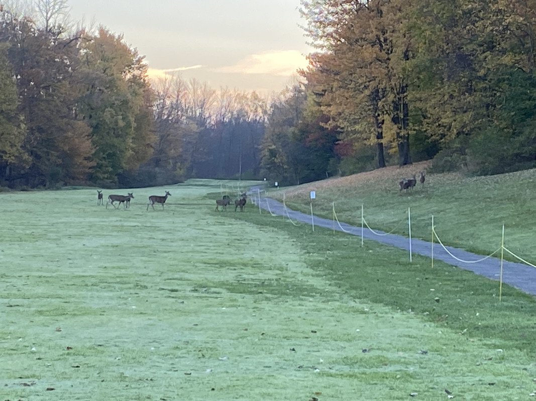 D4EE9D9F-1CD9-4629-9FEF-3AC37E757BA1