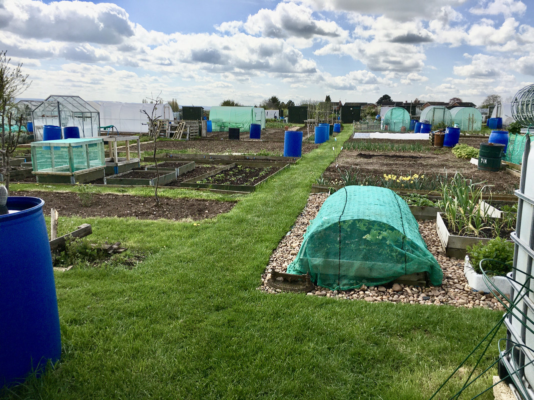 IMG_ [url=https://postimg.cc/grw3WpWQ][img]https://i.postimg.cc/Df661fYv/IMG-0752.jpg[/img][/url]