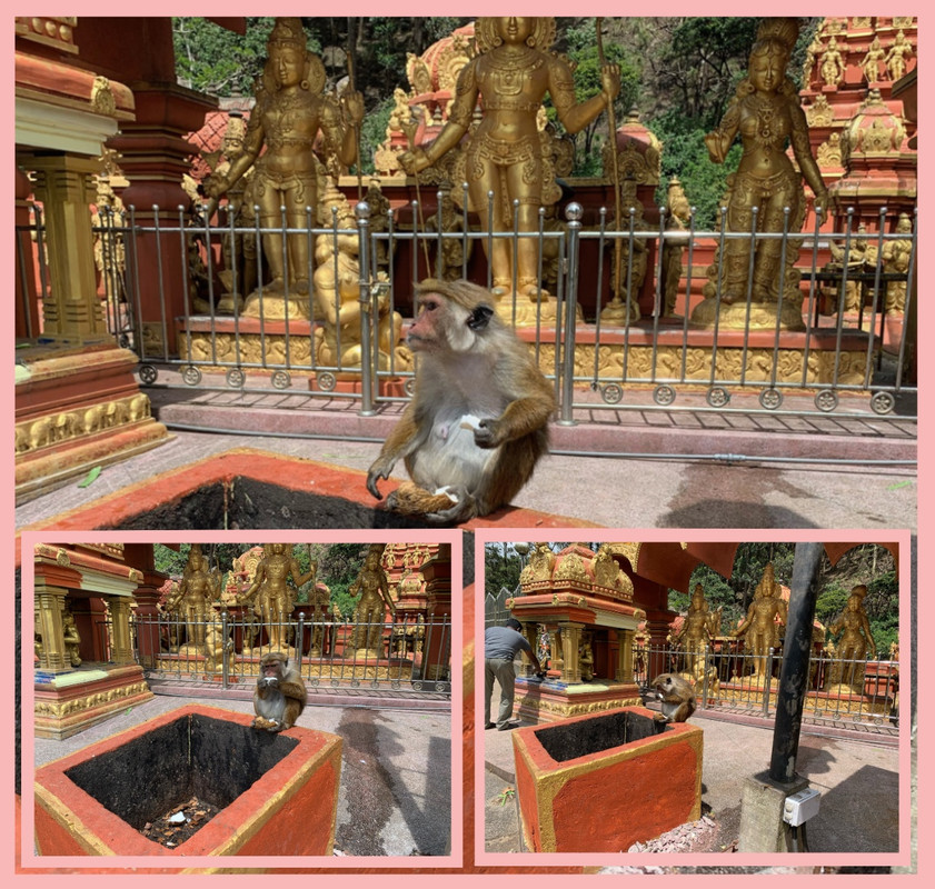 78-EEC22-B-234-D-4-A4-A-B04-C-601-EE08-E