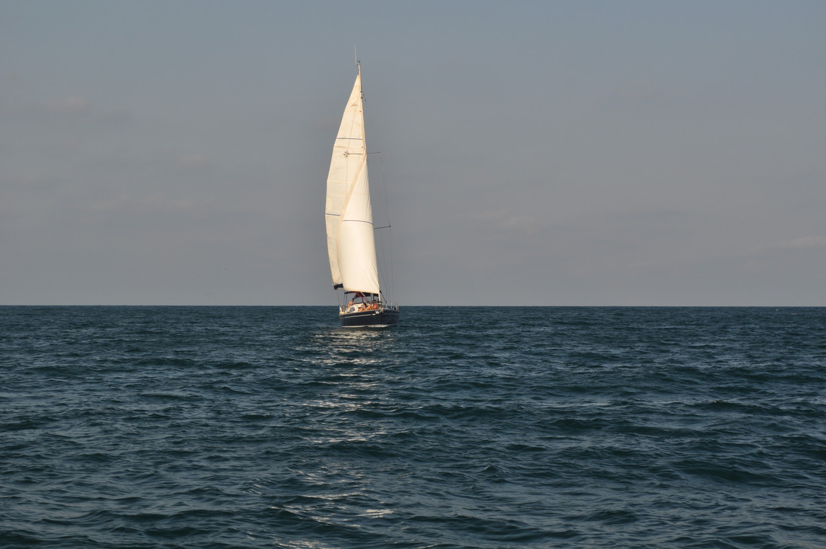 [Obrazek: DSC-8135.jpg]
